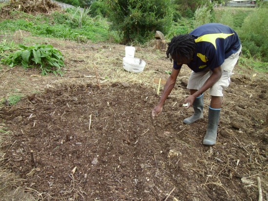 Fungai started his garden from bare ground in March 2012