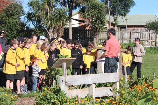 Hukanui School Sustainability Class visiting Grandview Community Garden
