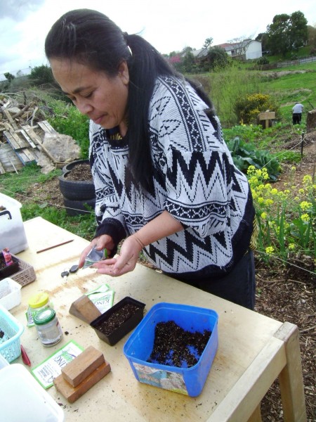 Valeti sowing tomato seeds